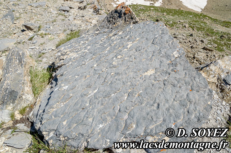 Lac Froid (2675m) (Alpes de Haute Provence)